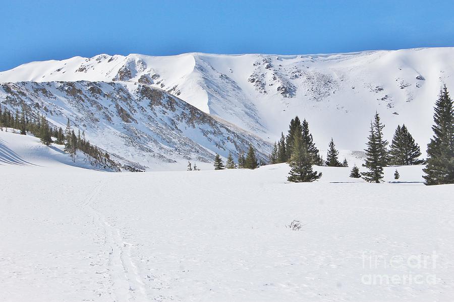 Rocky Mountain Winter 7 Photograph by Tonya Hance - Fine Art America