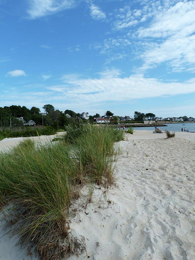 Rocky Neck State Park Beach by Toni Leland Rocky Neck State Park Beach by Toni Leland
