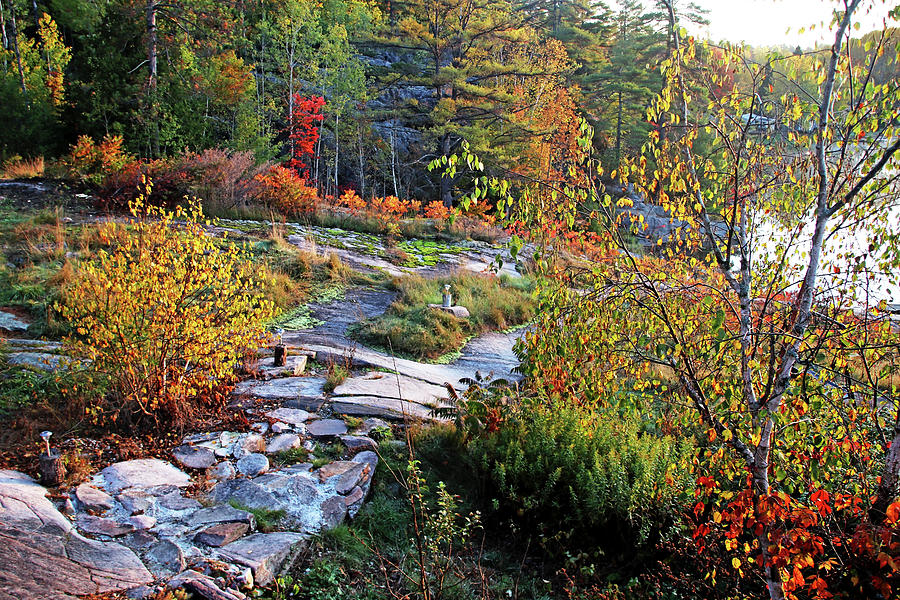 Rocky Path Through Autumn Photograph by Debbie Oppermann
