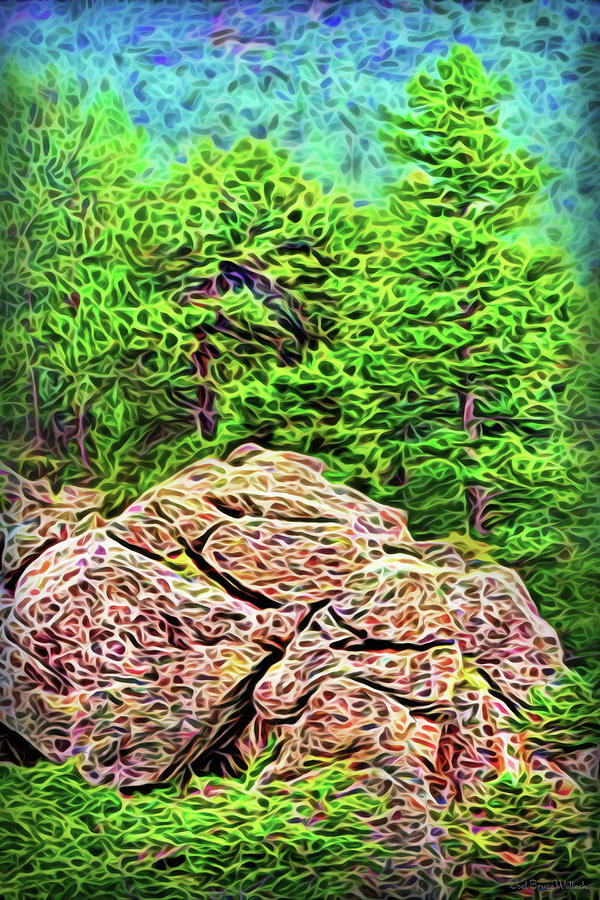 Rocky Pine Woods Digital Art by Joel Bruce Wallach