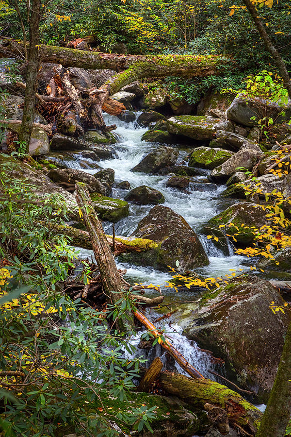 Rocky Stream in Autumn Photograph by Debra and Dave Vanderlaan