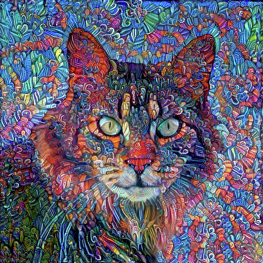 Rocky the Maine Coon Cat Digital Art by Peggy Collins