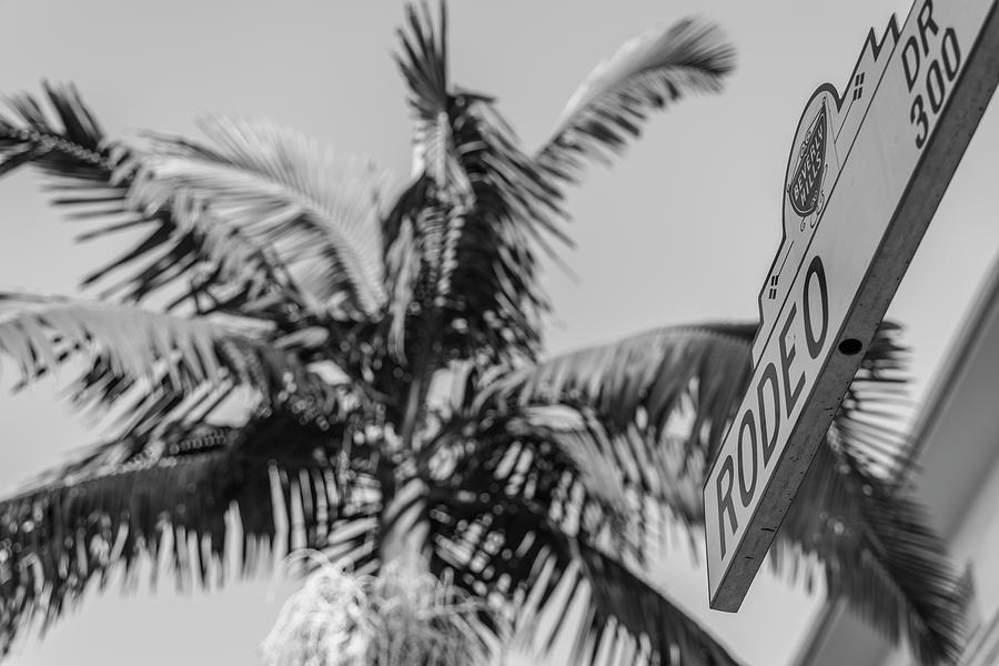 Rodeo Drive Sign  Photograph by John McGraw