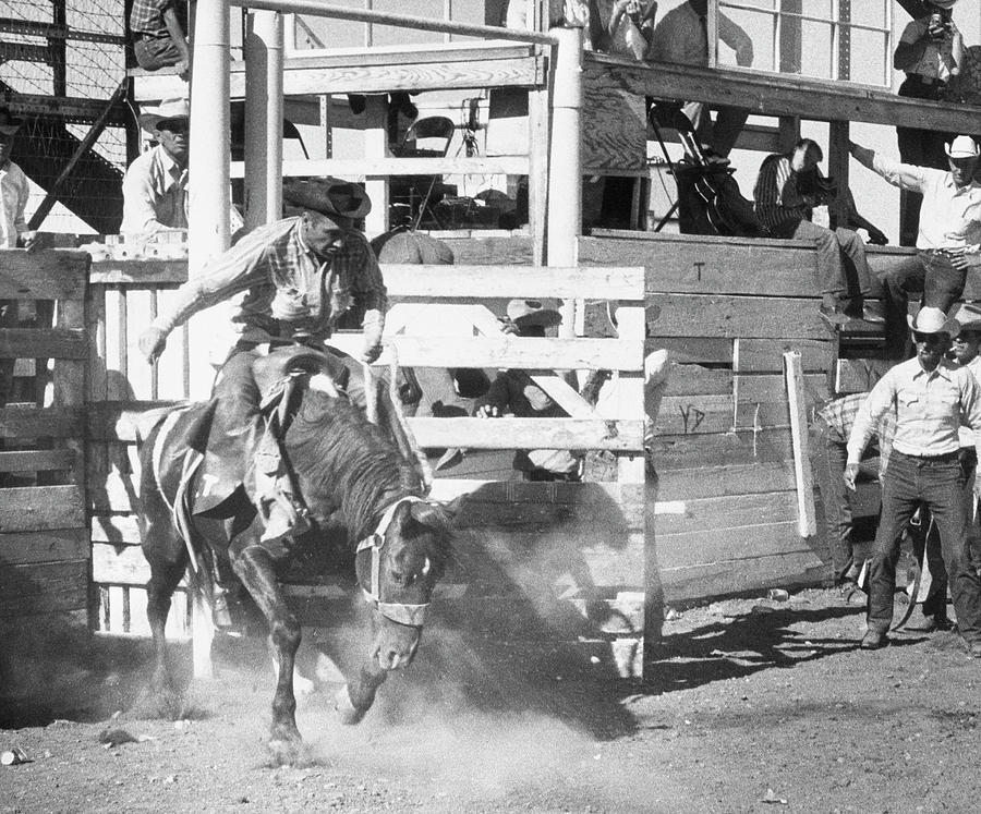 Rodeo Photograph by George Marks