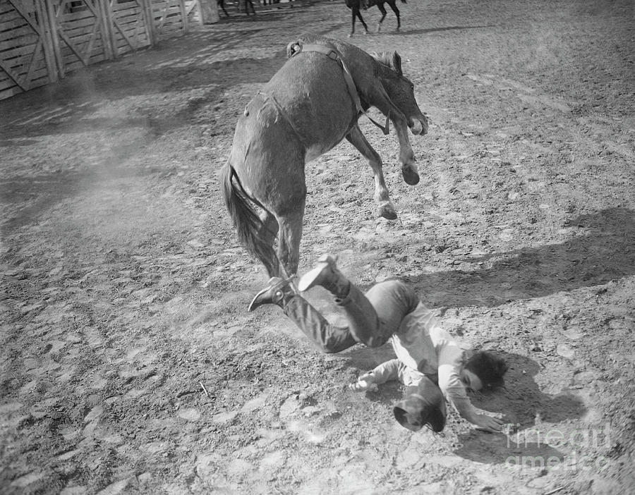 Rodeo Rider Falling From Horse by Bettmann