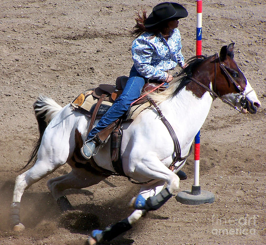 Equestrian Photograph - Rodeo Series by Ron Hilton Equestrian Photograph - Rodeo Series by Ron Hilton