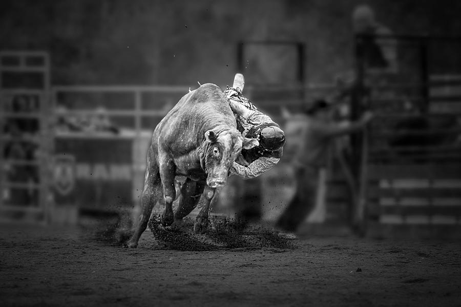 Rodeo Photograph by Steven Zhou