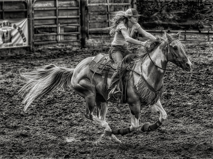 Horse Photograph - Rodeo by Teri Reames