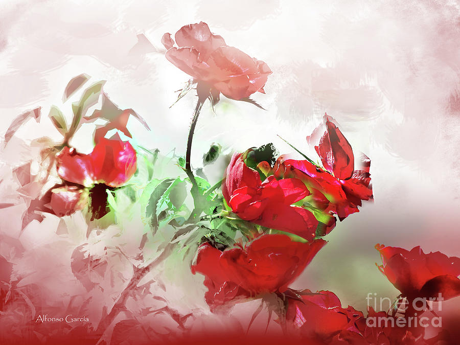 Rojos by Alfonso Garcia Rojos by Alfonso Garcia