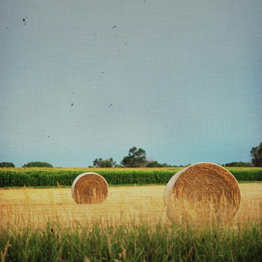 Roll In The Hay Photograph by Moosebitedesign