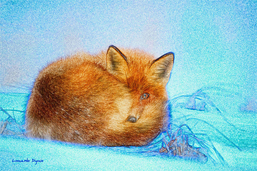 Rolled Fox - Pa Painting