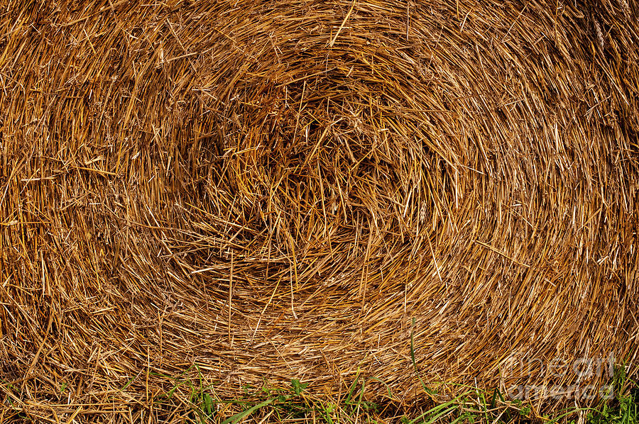 Rolled Hay Close-up Photograph by Jim Corwin