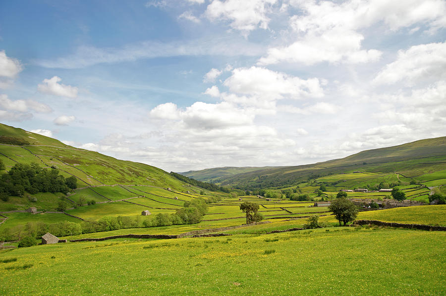 Rolling Countryside, Swaledale Photograph by Liz Whitaker