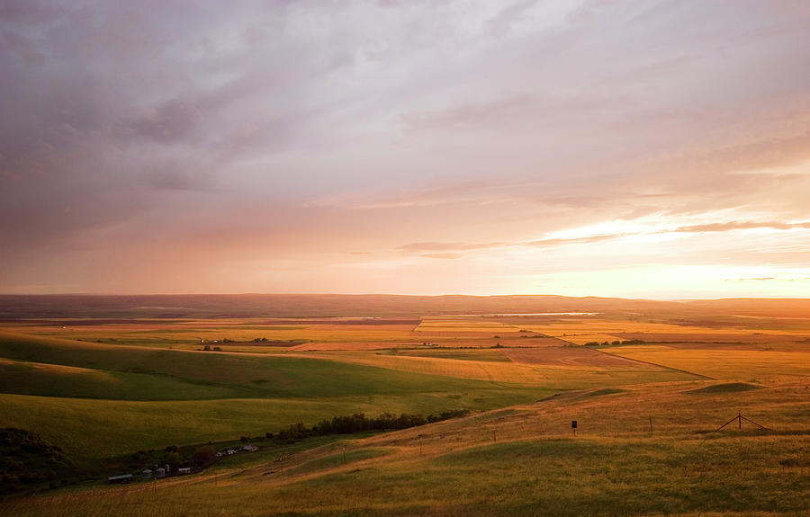 Rolling Fields Of Gold And Brown Photograph by Ranplett