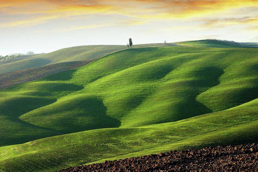 Rolling Green Hills In Tuscany Photograph by Christiana Stawski