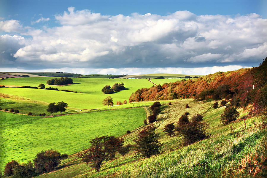 Rolling Green Hills With Autumn Trees Photograph by Nicole Kucera