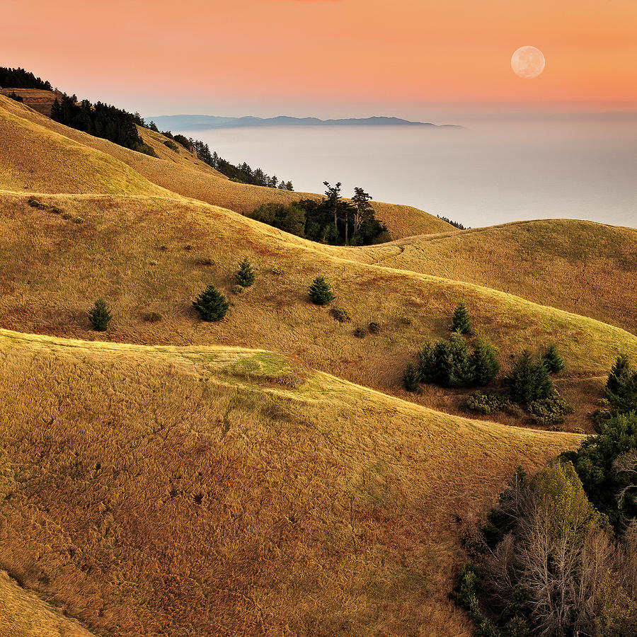 Nature Photograph - Rolling Hills Marin County by Neal Pritchard Photography