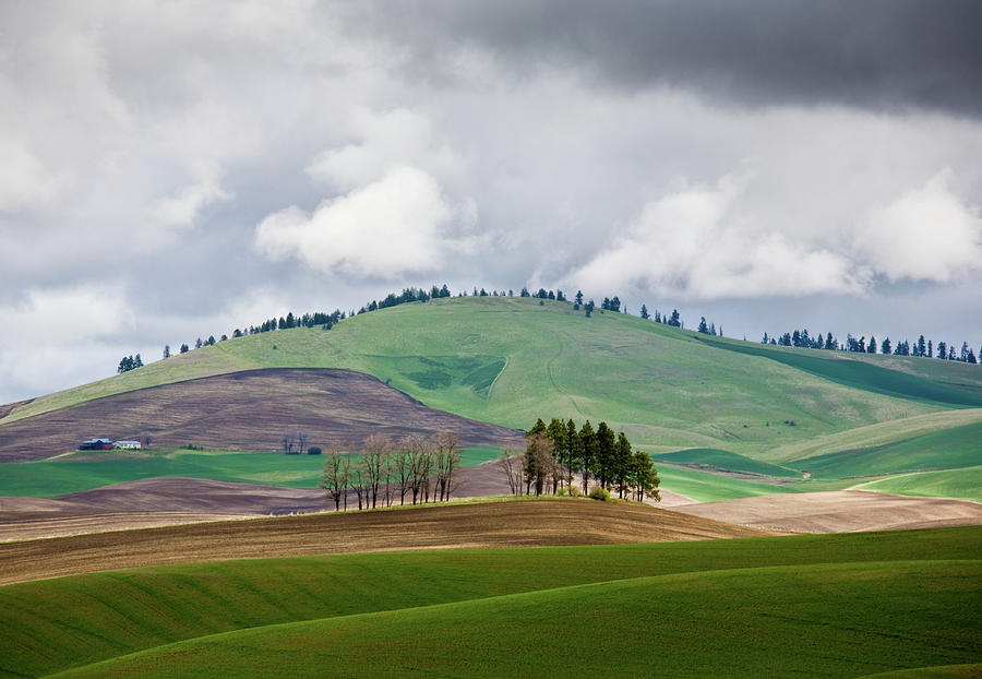 Rolling Hills Of Greens And Browns With Photograph by Michael Rainwater