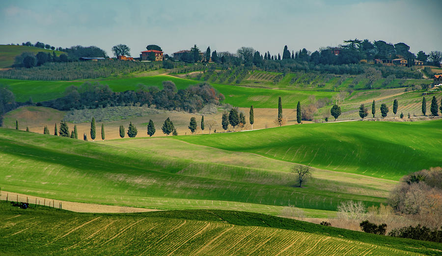Rolling Hills of Tuscany Photograph by Marcy Wielfaert