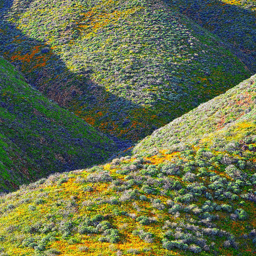 Rolling Hillsides In California - Square Photograph by Glenn McCarthy Art and Photography