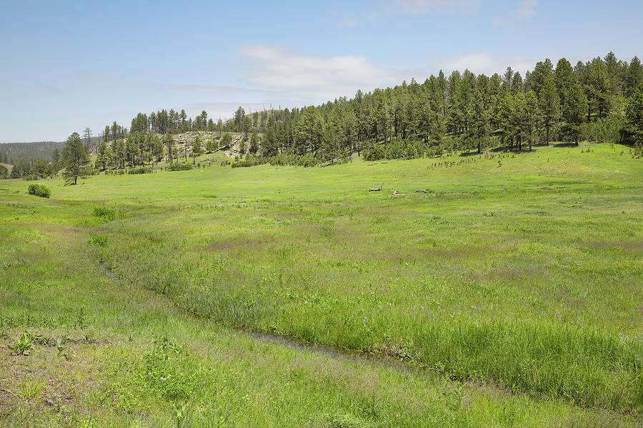 Rolling Plains Of Custer State Park Photograph