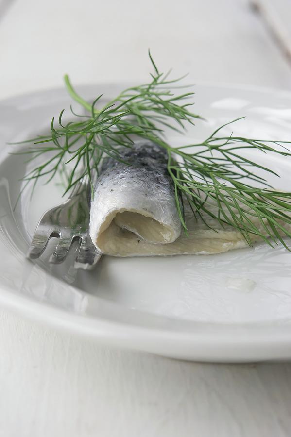 Rollmops With Dill Photograph by Martina Schindler