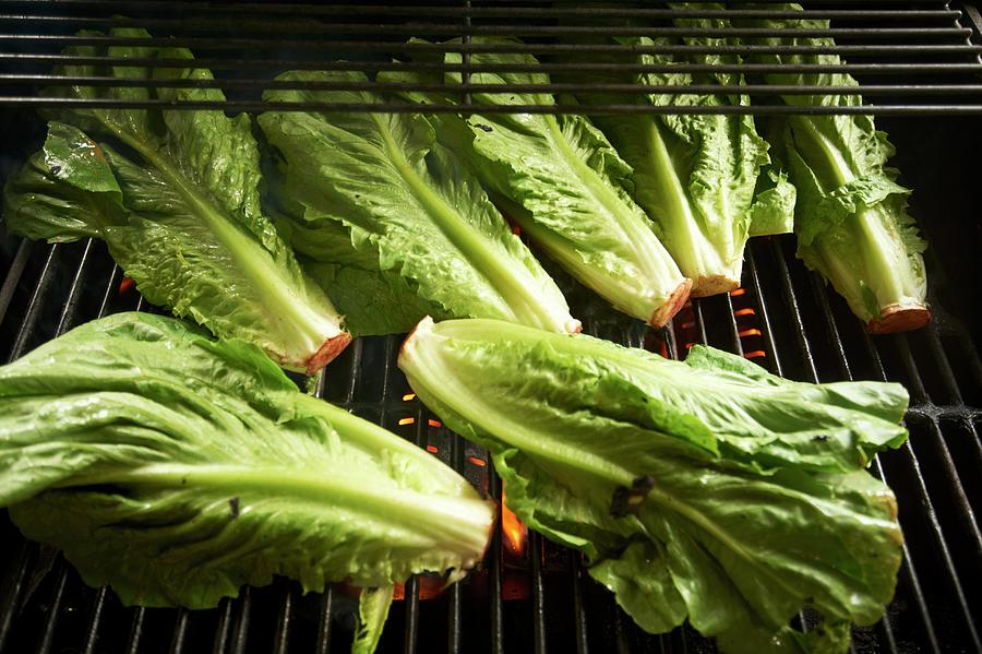 Romaine Lettuce On The Grill Photograph by Rannells, Greg
