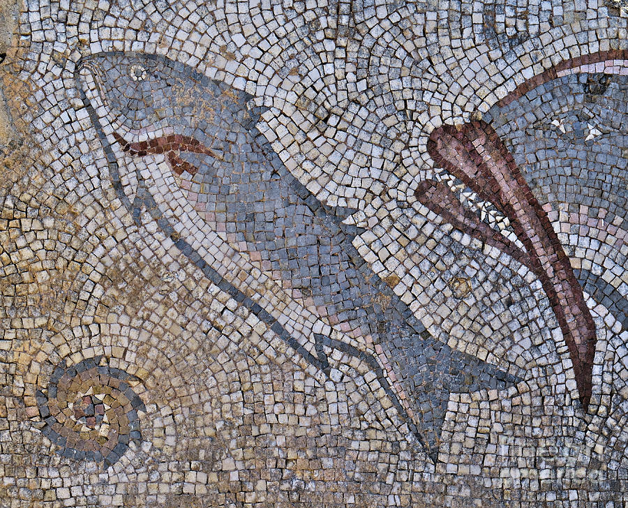 Roman Fish Mosaic in Milreu Photograph by Angelo DeVal