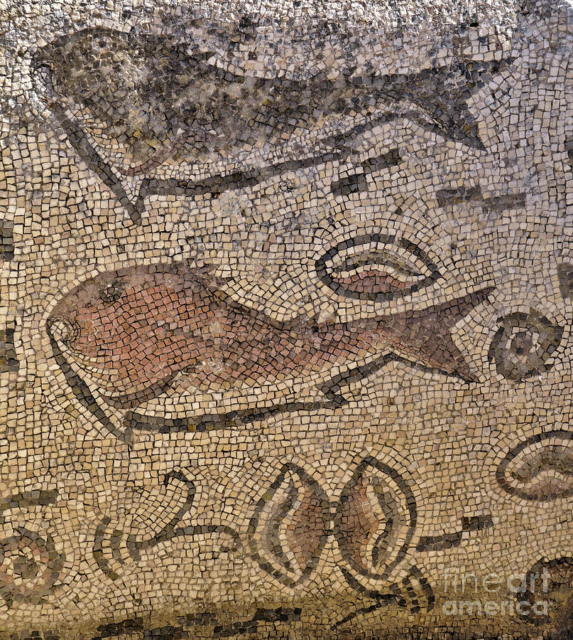 Roman Fish Mosaic Of Milreu Photograph by Angelo DeVal