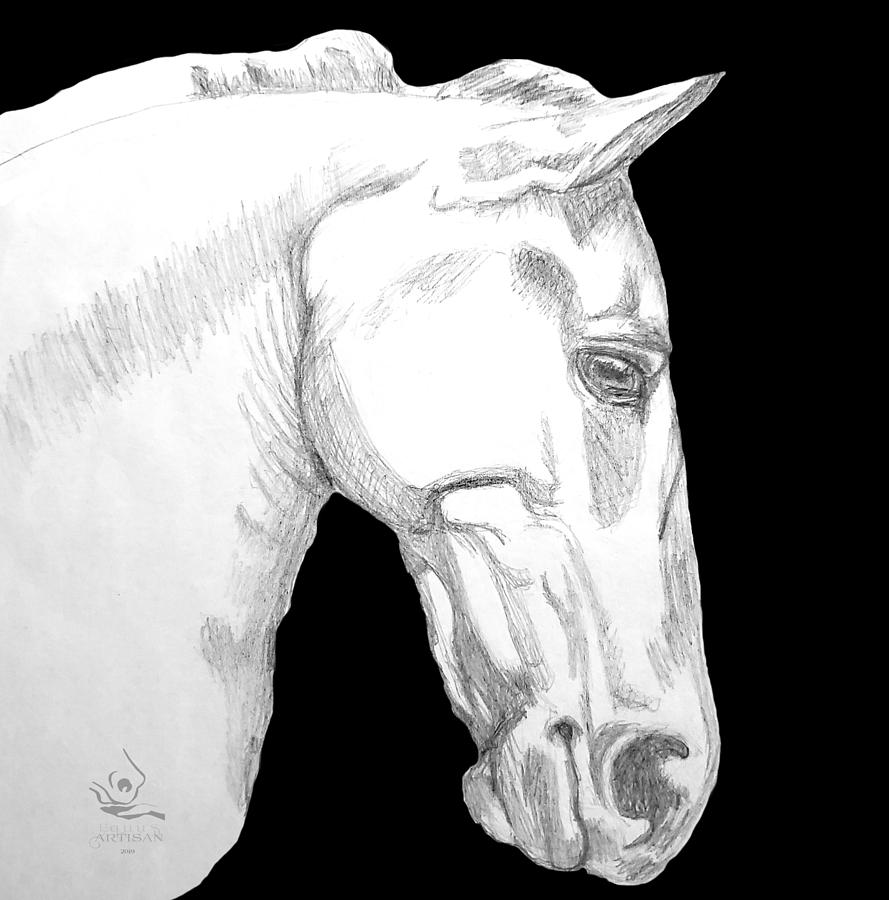 Roman Horse Drawing by Equus Artisan