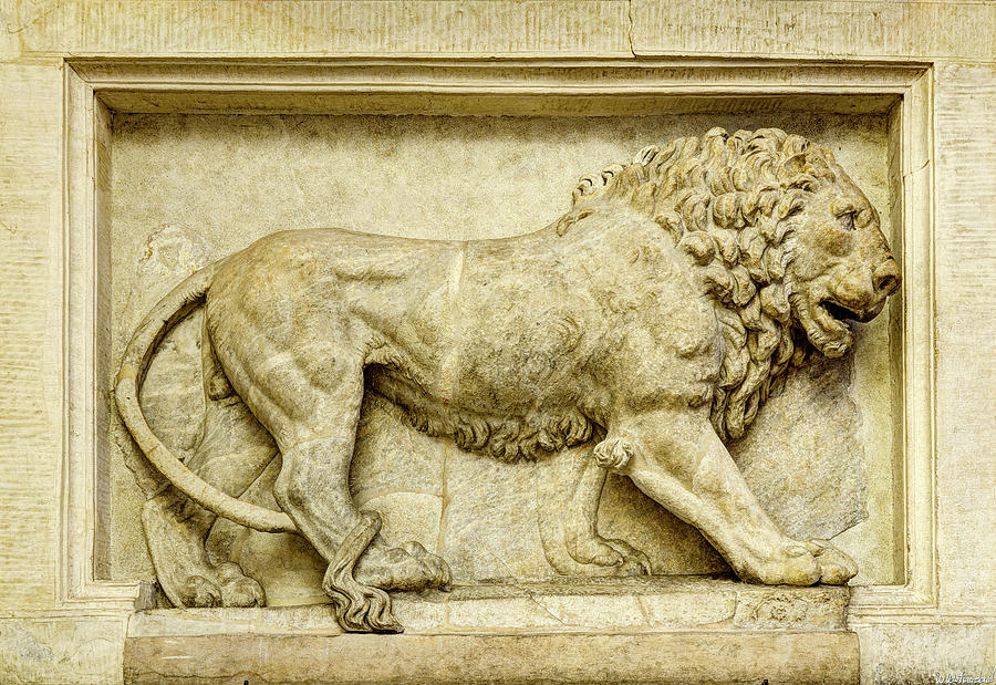 Roman Lion Photograph by Weston Westmoreland