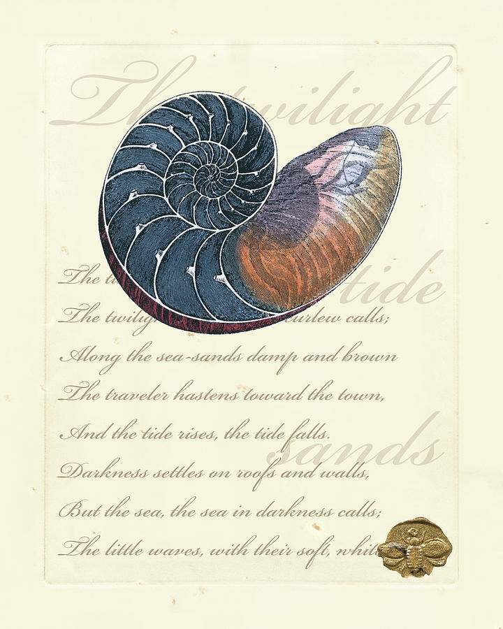 Shell Painting - Romance Of The Shell I by Vision Studio