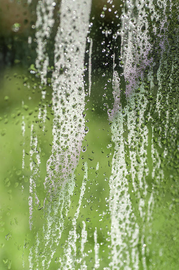 Romance with Rain Photograph by Jenny Rainbow