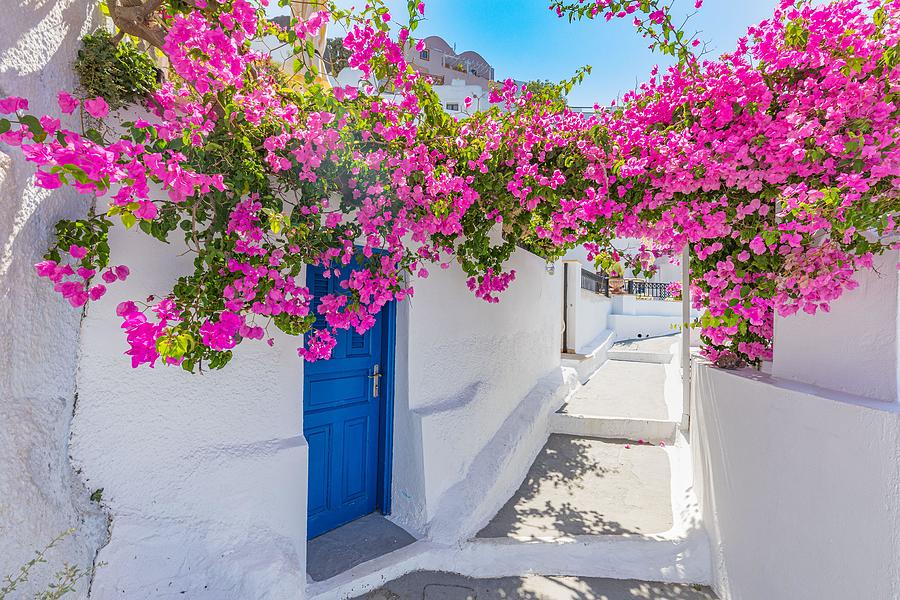 Romantic Blue Door With Pink Flowers Photograph by Levente Bodo Romantic Blue Door With Pink Flowers Photograph by Levente Bodo
