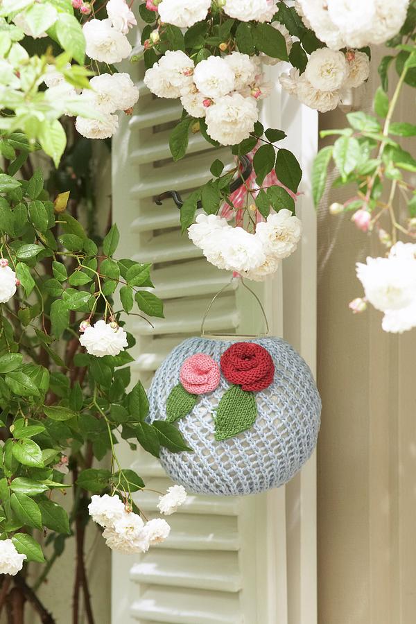 Romantic, Knitted Lantern Decorated With Knitted Flowers Below White Climbing Rose In Front Of External Shutters Photograph by Heidi Frhlich