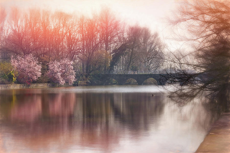 Romantic Minnewater Lake Bruges Belgium Photograph