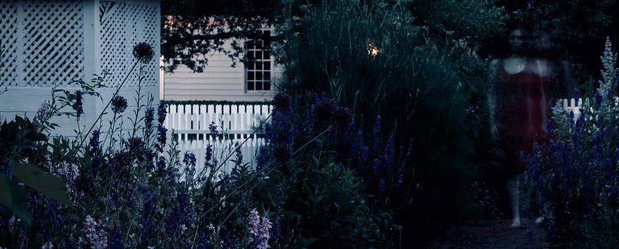 Romantic Past by Rachel Morrison Romantic Past by Rachel Morrison