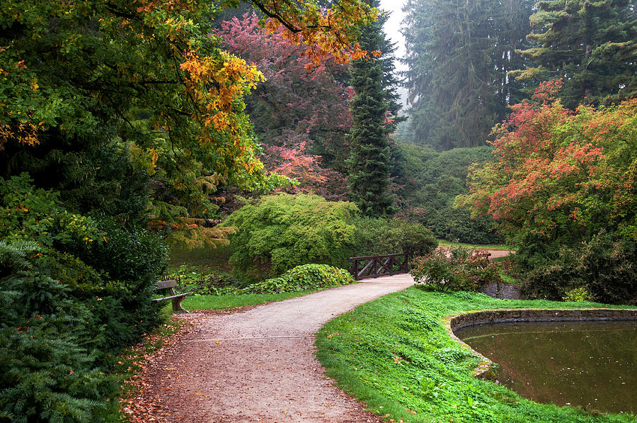 Romantic Path in Arboretum  Photograph by Jenny Rainbow