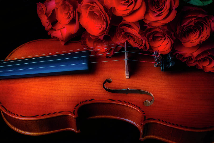 Romantic Red Roses And Violin Photograph by Garry Gay - Pixels