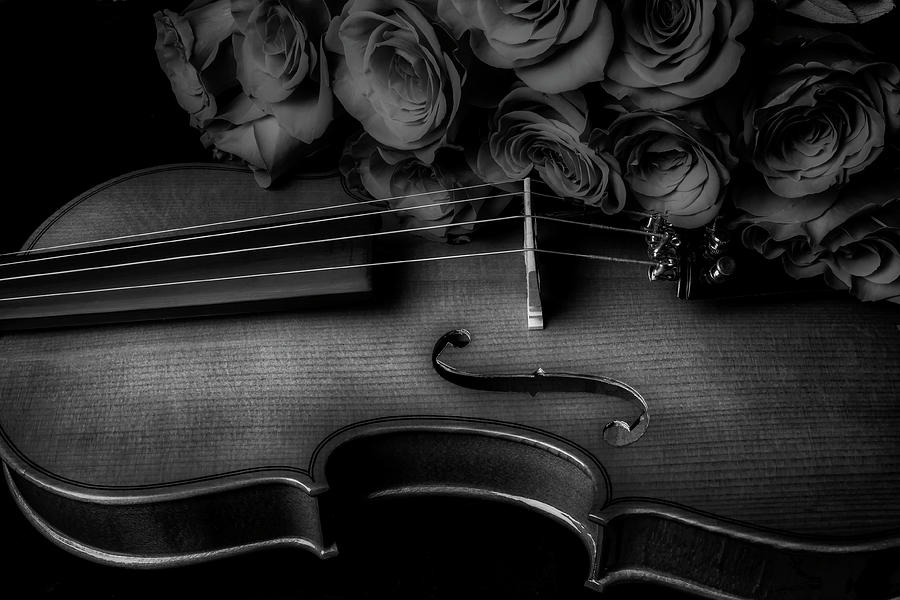 Romantic Red Roses And Violin In Black And White Photograph by Garry Gay
