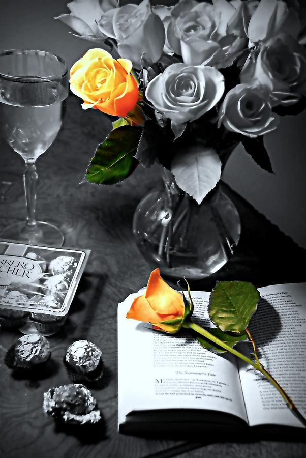 Still Life Photograph - Romantic Rose by Diana Angstadt
