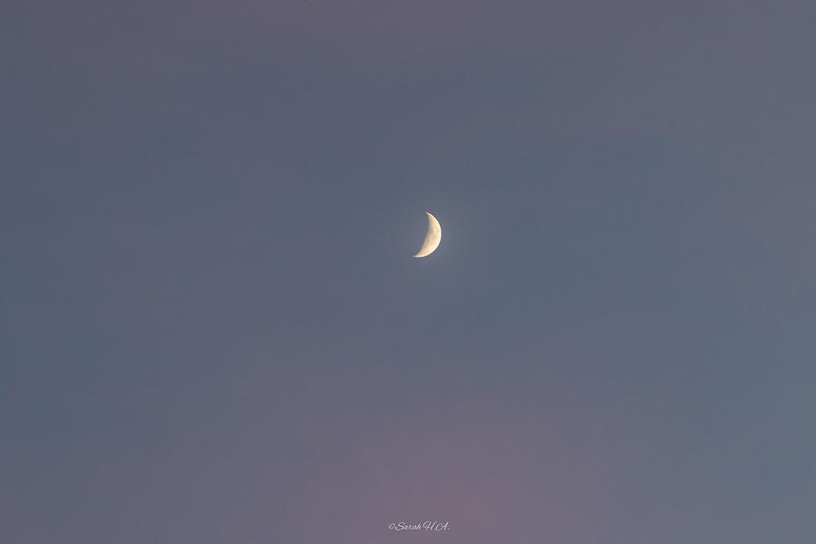 Romantic sky with the moon Photograph by Sarah Helmy Aly - Fine Art America