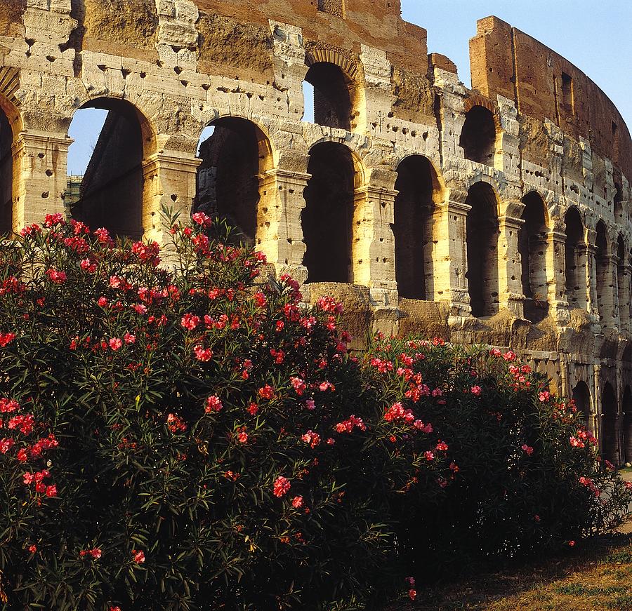 Rome, Coliseum, Italy Digital Art by Johanna Huber