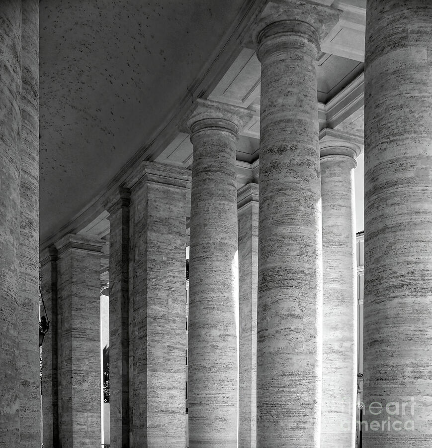 Rome - The Colonnade At St. Peters Basilica Photograph by Stefano Senise