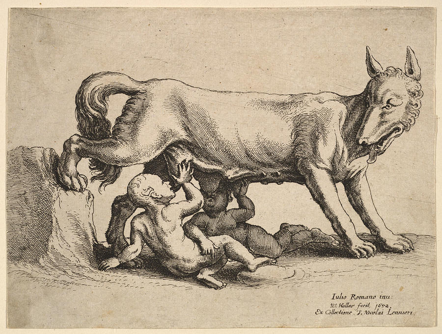Romulus and Remus Drawing by Wenceslaus Hollar