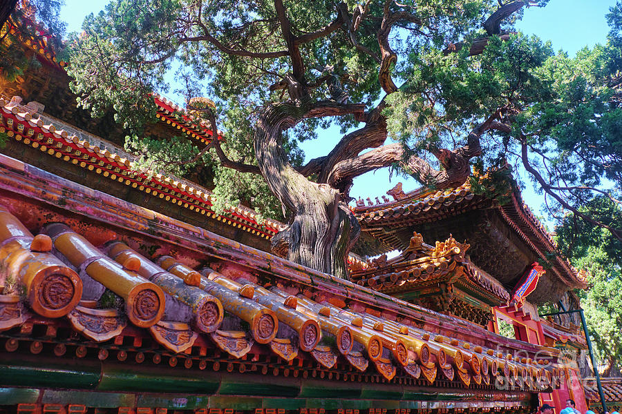 Roof Detail in the Imperial Garden Photograph by George Oze