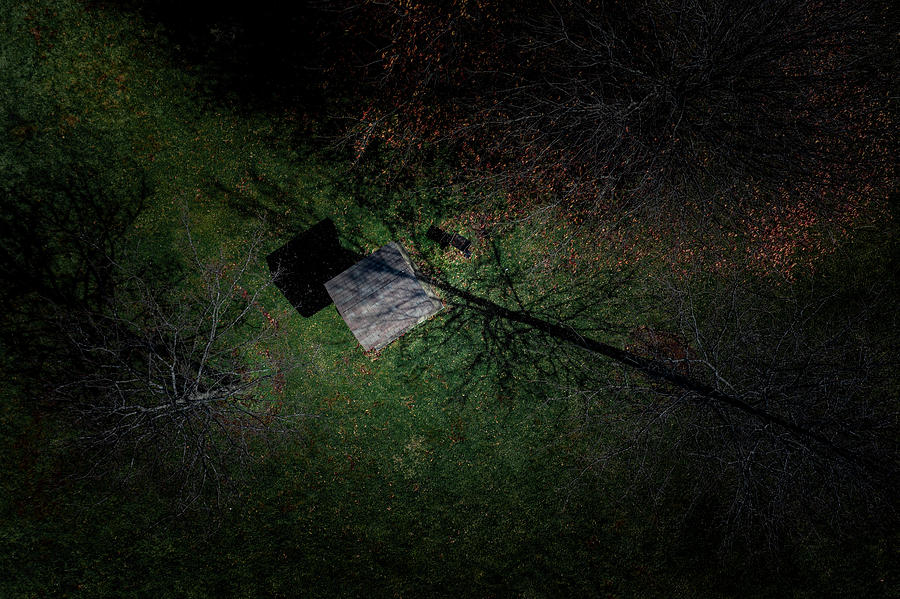 Roof in the Trees by Nick Smith Roof in the Trees by Nick Smith
