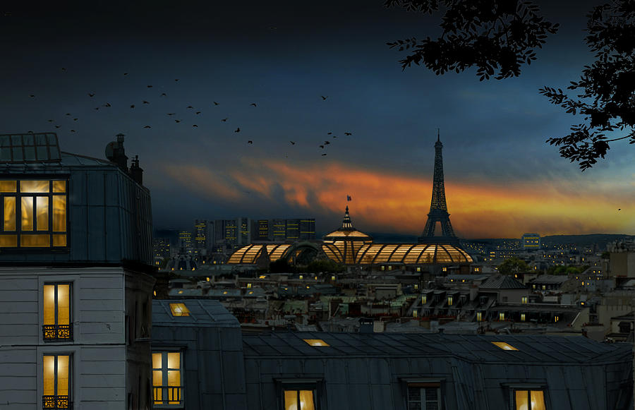 Roofs Of Paris At Blue Hour Photograph by Pierre Bacus