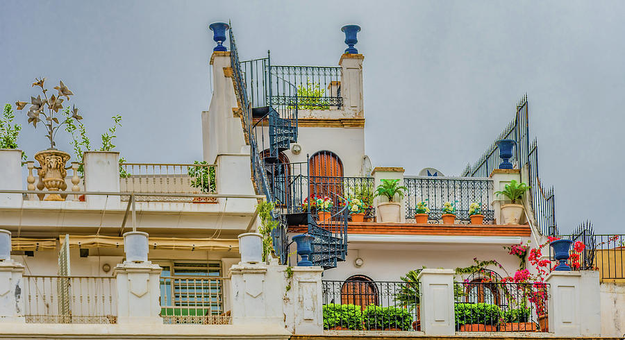 Rooftop Garden, Seville Photograph by Marcy Wielfaert