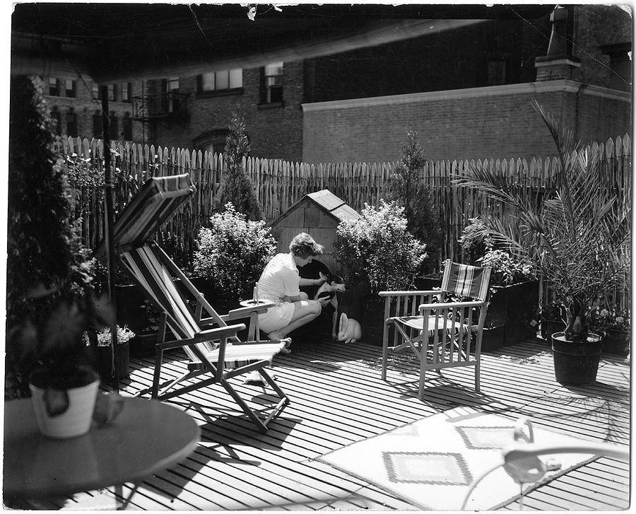 Rooftop Gardening Photograph by The New York Historical Society